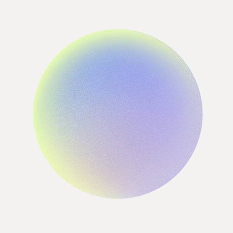 Professionally Guided